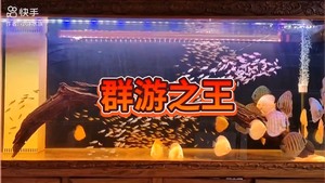 群游之王 大号黑尾大钩 100元70条， 10元6条，店里有