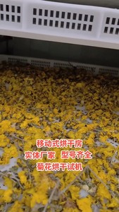 龙鑫牌烘干房网带烘干机，可以烘干辣椒 菊花 药材 食品等多种