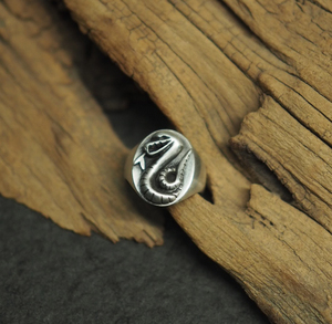 德拉科马尔福同款蛇院戒指斯莱特林蛇院