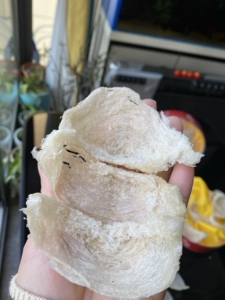 自然色的破盏不管雨季旱季燕窝都是有米白米黄的不会全是很统一色