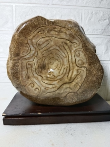 辉木化石,贵州桫椤玉,重9.5公斤,尺寸,22x21x15