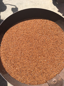 木瓜籽,冰粉籽,凉粉籽 云南昆明本地实体店销售,批发零售都可