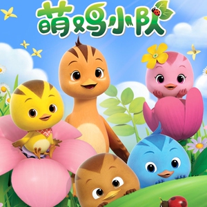 【萌鸡小队dvd】萌鸡小队dvd品牌,价格 - 阿里巴巴