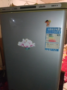海尔冰箱,冰柜,数码王子bcd 206bd,125l,长宽