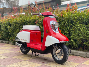 精品本田julio/af52期火车龟 50周年纪念版复古火车