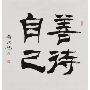 霍春阳弟子赵海旭 善待自己手写书法字画真迹玄关书房清华美院