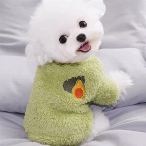 白色泰迪狗活犬纯白色