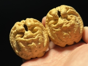 乾坤鬼脸核桃产自印度尼西亚 外壳坚硬 纹