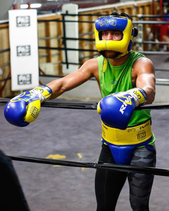 rival拳击拳套 散打 泰拳 洛马琴科同款拳套 全新16o