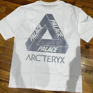 Arcteryx Palace始祖鸟联名 白色短袖T恤