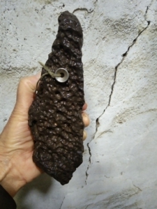 新疆黑山蜂窝陨石,中磁性,重700克