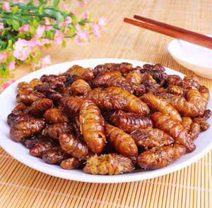 香酥蚕蛹开袋即食山东土特产油炸五香小蚕蛹熟食零食小吃商用怀旧