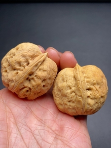 麒麟元宝云南野生铁核桃【拍卖5】粗筋元宝文玩核桃把件金蟾蛤蟆