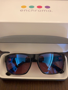 enchroma眼镜
