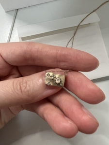 日本4℃ 4度星座项链 巨蟹座