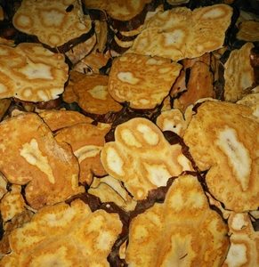 【何首乌切片】何首乌切片品牌,价格 - 阿里巴巴