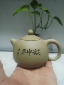 天福茗茶专卖店 杨金本 段泥 紫砂壶 台湾紫砂壶