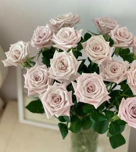 曼塔玫瑰20支复古玫瑰鲜花花束云南昆明基地直发顺丰 包邮