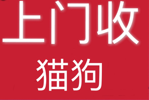 000人付款淘宝长期高价上门回收各类宠物狗不管大小全部都要mf私宠