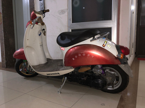 本田小龟55期改装