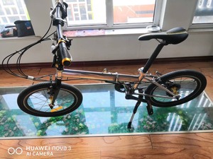 大行自组DIY折叠自行车20寸闲多骑少，长期在家吃灰出车腾地