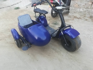 哈雷电动车挎斗,挎斗定做,电动车挎斗,摩托车挎斗,边三轮改装