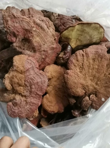 新货秦岭纯野生木灵芝,干货,数量有限,只有10斤,大小都有,_阿里巴巴找