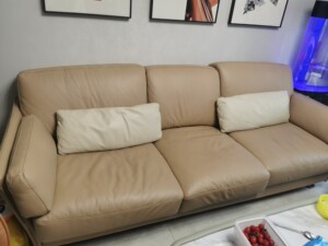 意大利rg纳帕皮沙发一个,原价24000,在无锡月星家居rg