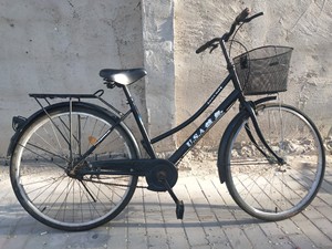 蓝岛自行车，26寸的，挺好，自提，打价勿扰