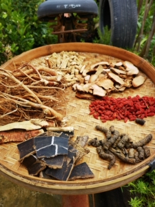 广东客家湿气五指毛桃泡酒土茯苓巴戟牛大力杜仲枸杞6宝500克