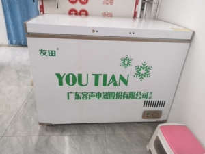 友田冰柜容声