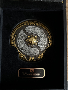 dota2  2020年ti 冠军盾 .小本子1000级奖励