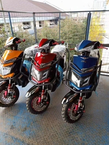 新本冈田电动车