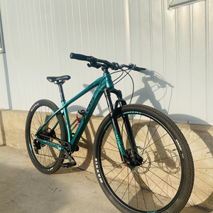 21年三月侠客800pro 换了碳纤维燕把剩下全是原装配置