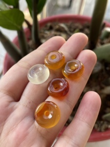 guojunlong703淘宝逊克北红玛瑙平安扣0人付款680.