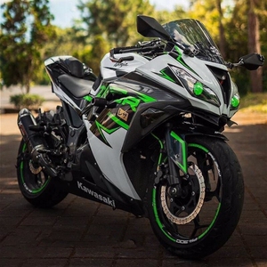 原装国四电喷可上牌地平线s款摩托车跑车川崎小忍者双杠250公