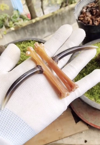 文玩鸡蹬子,鸡腿骨,代加工,加工费100-150元一对,看具