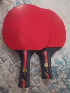 【个人闲置】红双喜冰甲七星八星乒乓球拍2只双面反胶专业级横拍