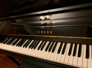 雅马哈钢琴ya118cn,2014年在威尔谛姜杰钢琴城买的