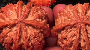 边53六棱文玩核桃批发零售 ,不论找练手的,自己玩的,送人