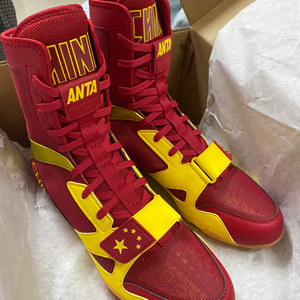 安踏拳击鞋  全新