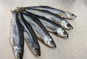 东北特产 野生青鳞鱼干 青灵鱼干 大白条鱼干 真空包装发货