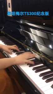 斯坦梅尔钢琴TS300纪念款，9层新，双拼乌木黑键，热销款，