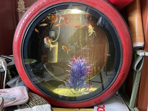 轮胎鱼缸灯