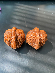 张品增一代四座楼核桃.