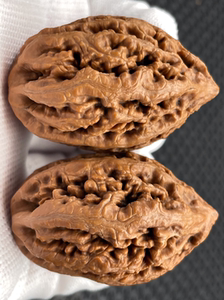 秋子楸子野生文玩核桃龙纹通天塔牛筋红东北果蜡皮皮质克重31.