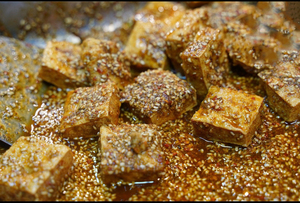 教授新派臭豆腐配方,老煤医道拌鸡架配方,蚝贝宴配方,包教包会