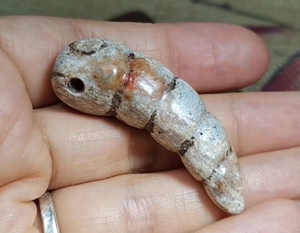 闲置  古玉 老玉  小蚕蛹一枚   尺寸不大  肉厚  老