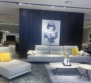 德国domicil 多米秀沙发 dm-a0360