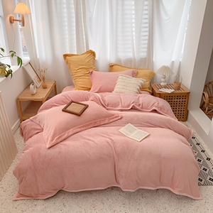 a类绒公主抗静电牛奶棉四件套秋冬保暖加绒纯色被套床单